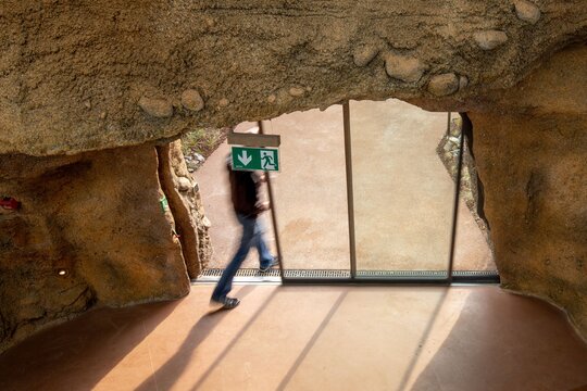 Lewa Savanne - Automatische Schiebetüren für die neue Perle des Zoo Zürich