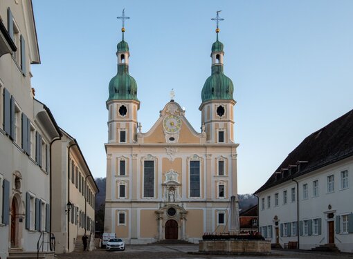 Umbau einer denkmalgeschützten Türe - Dom Arlesheim